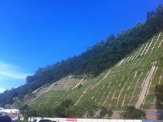 罗湖边坡工程